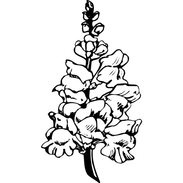 FLOWER14 Thumbnail