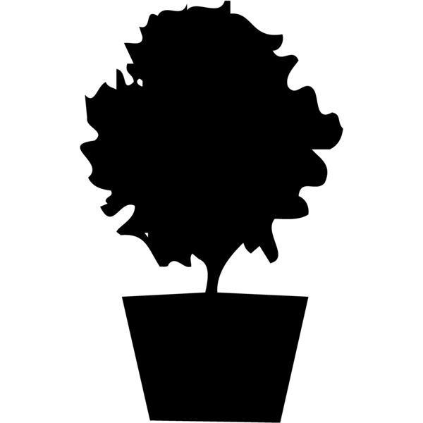 PLANT06 Thumbnail
